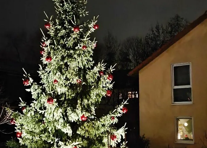 Mycozyplace - Gemuetliches Fuer Zwei Homestay Dresden